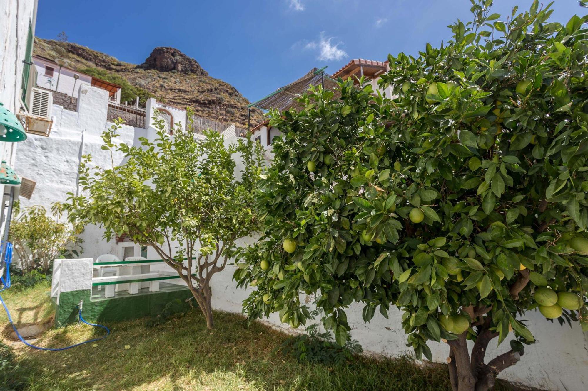 Apartament Casa Carmen Agaete Con Terraza Y Vistas Al Mar Zewnętrze zdjęcie